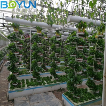 上海博云打造高标准无土栽培工程之仿生立柱式栽培规模化立体农业