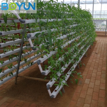上海无土栽培设备新型立体栽培水培设备 A字架管道水培设备
