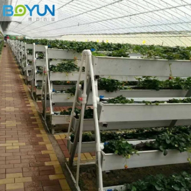 上海无土栽培草莓种植槽 加工定制 承接无土栽培设备设计安装及工程